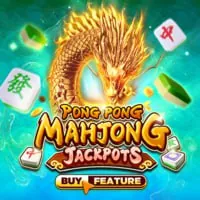 Hành vi người chơi cá cược